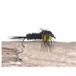 A.Jensen Montana Nymph / Black/Yellow